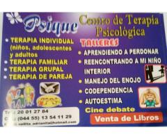Centro De Terapia Psicologica Psique